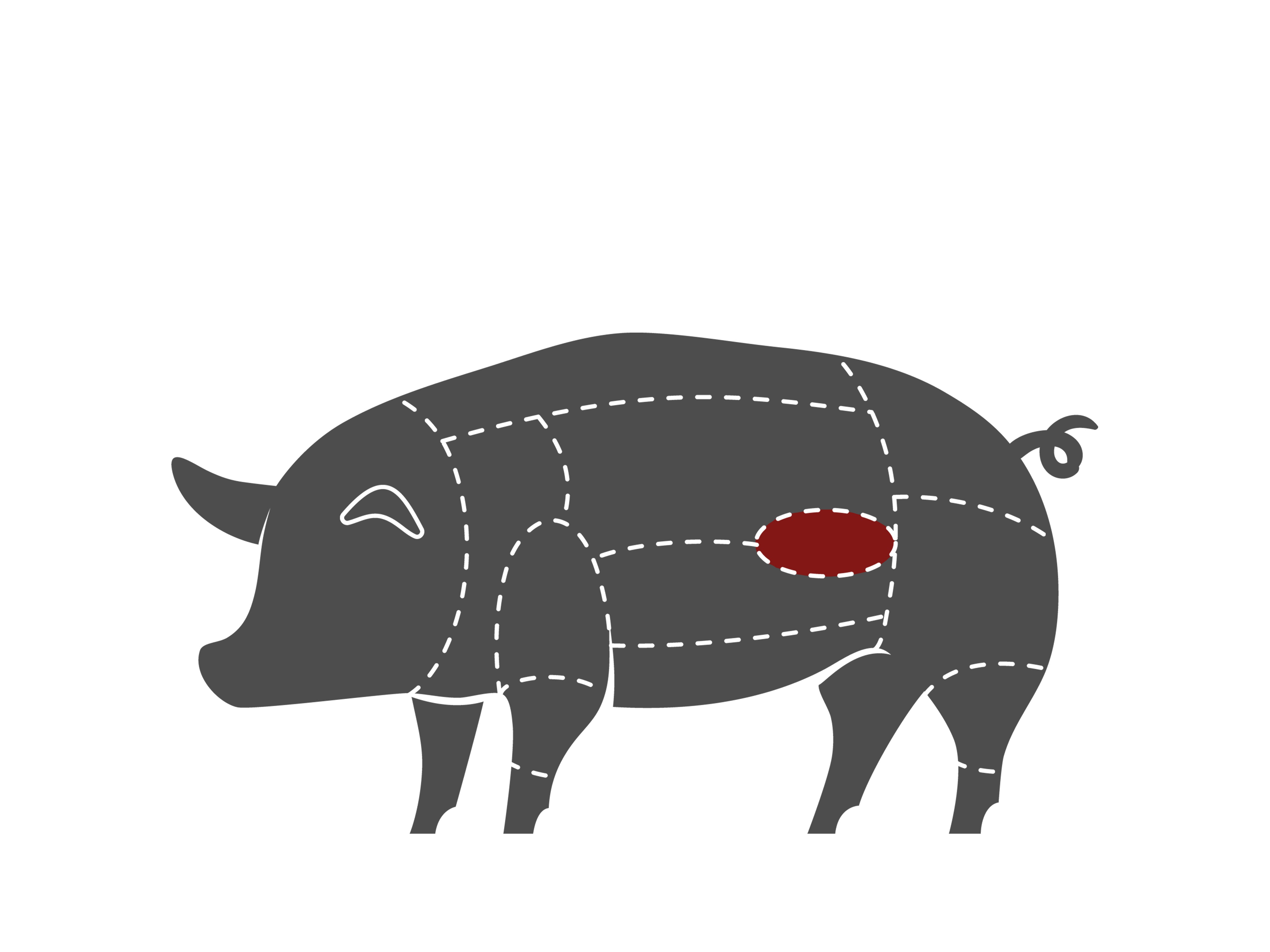 Schwein-Filet-FleischteilqQTHHp8M5wWl6